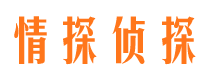 船山寻人公司